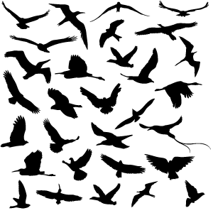 [PUBLIC] A public project which everyone has read access to image