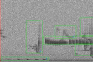 Annotated Spectrogram.